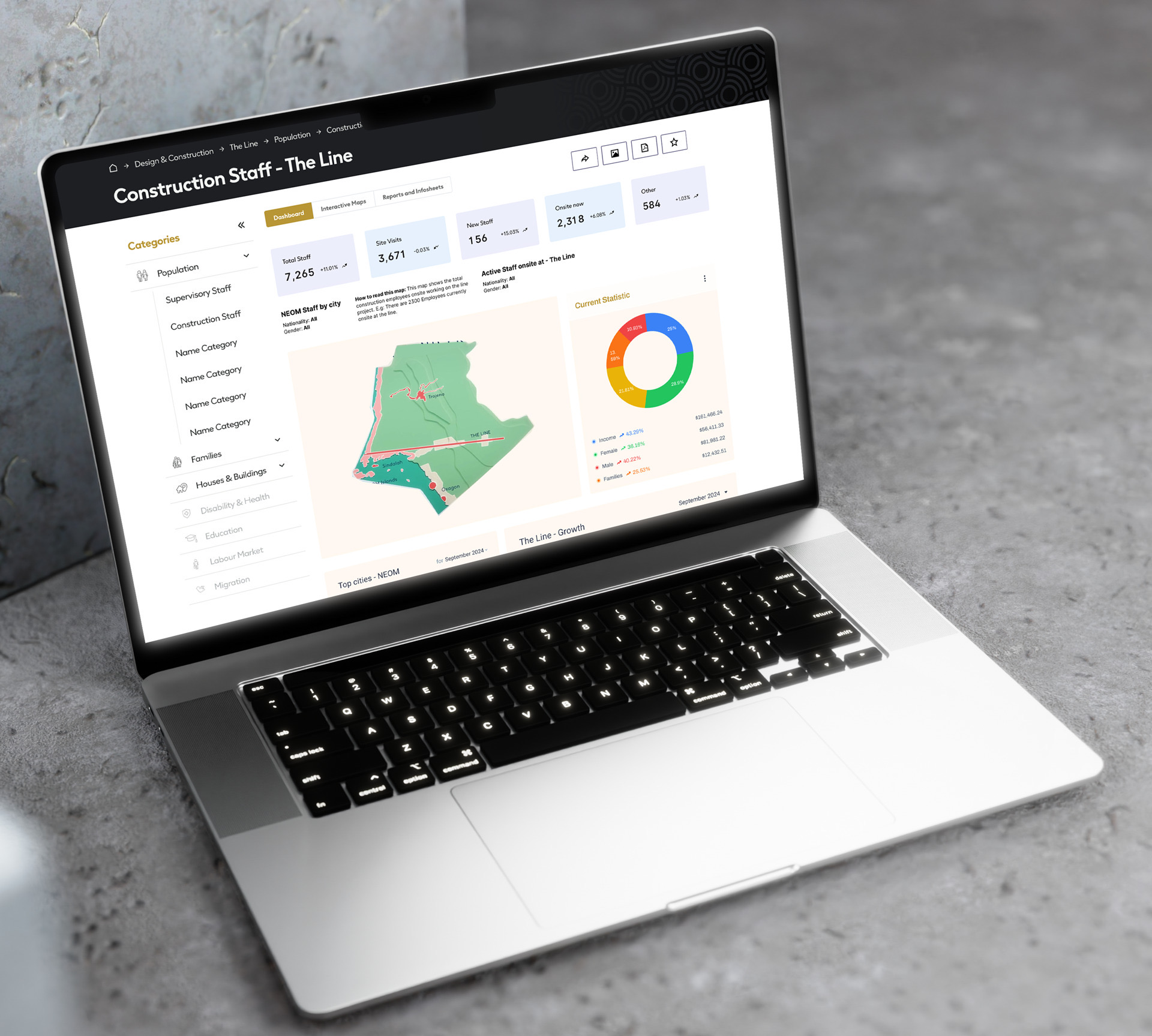 Data visualisation layer